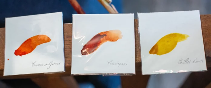 rencontre-avec-isabelle-collett-artiste-peintre-et-fabrication-peintures-vegetales