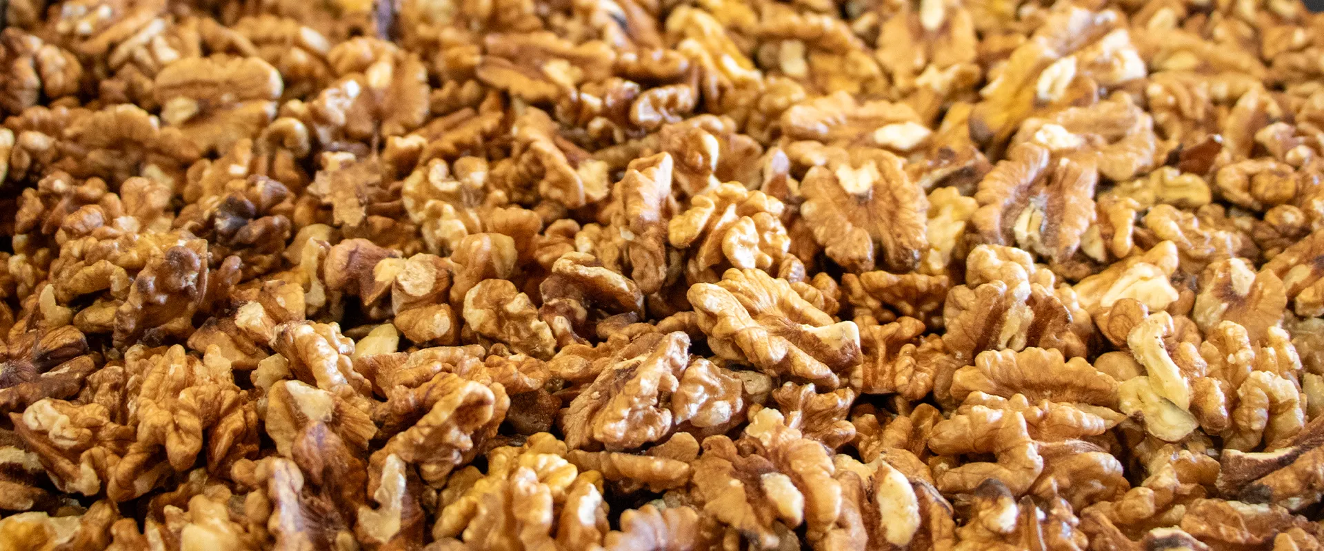 des-centaines-de-cerneaux-de-noix-pour-fabriquer-de-l-huile-de-noix-correzienne